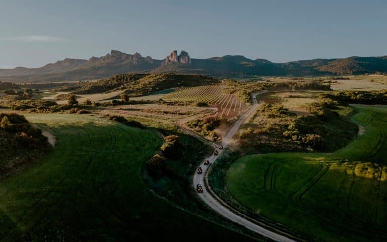 grape-footer-fondo-contacto