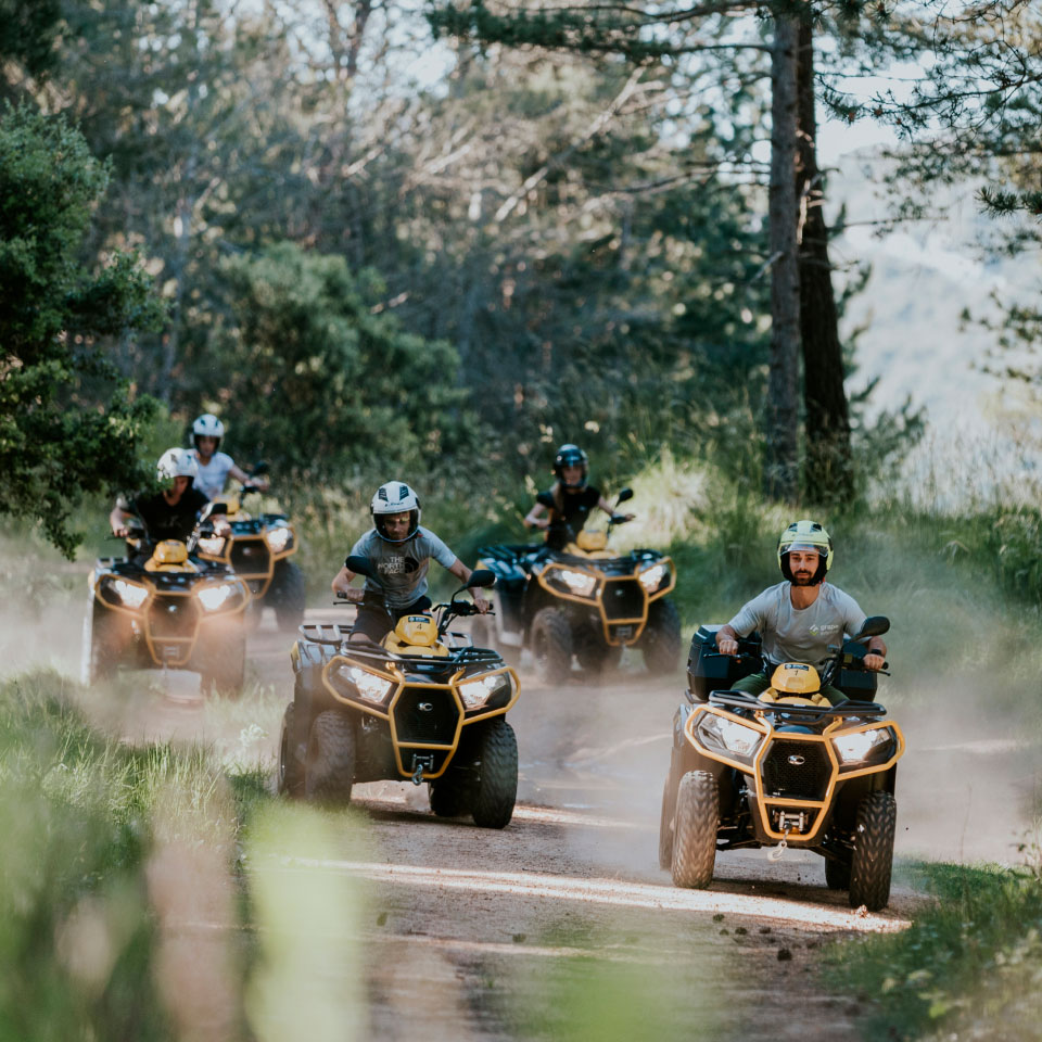 Quad biking routes through vineyards and wooded areas